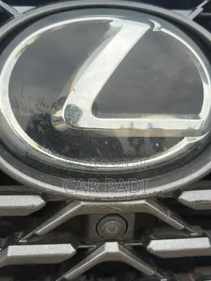 Lexus RX 2022 Gray
