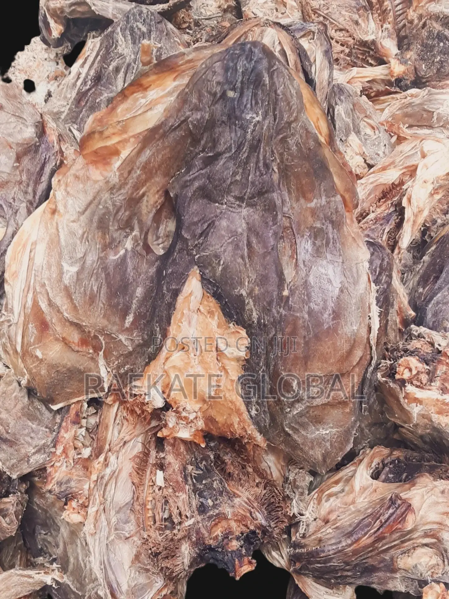 Apama Stockfish Head Cod With Collarbone