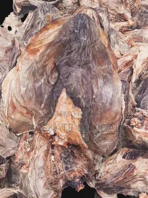 Apama Stockfish Head Cod With Collarbone