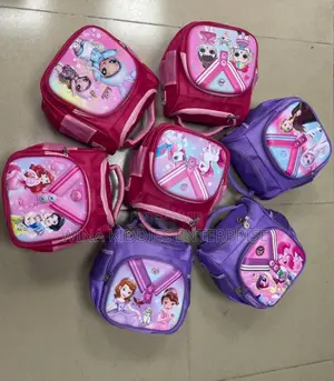 Stock Lunch Bag