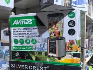 Avinas Multifunctional Wall Braking Commercial Blender