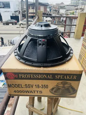 Ssv 18-350 Single Magnet Sub Speaker