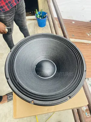 Ssv 18-350 Single Magnet Sub Speaker