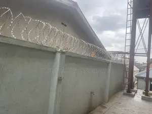 Durable Well Installed Anti Rust Razor Wire 318class
