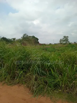 500 Acres Of Farmland For Sale