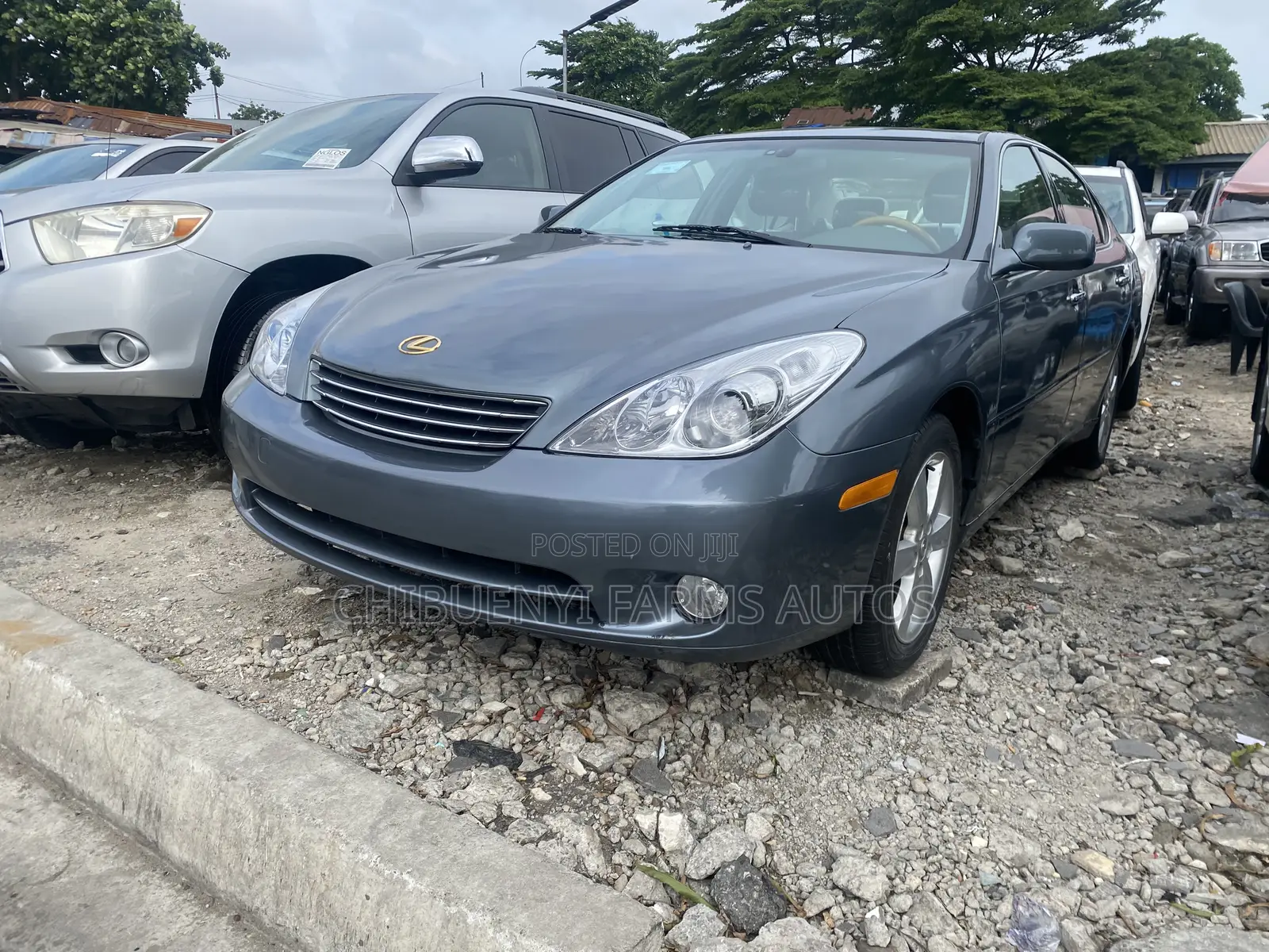 Lexus ES 330 2006 Green