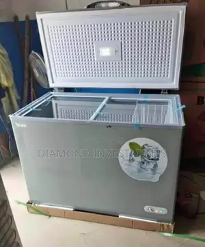 Bona Solar Freezer 318litres