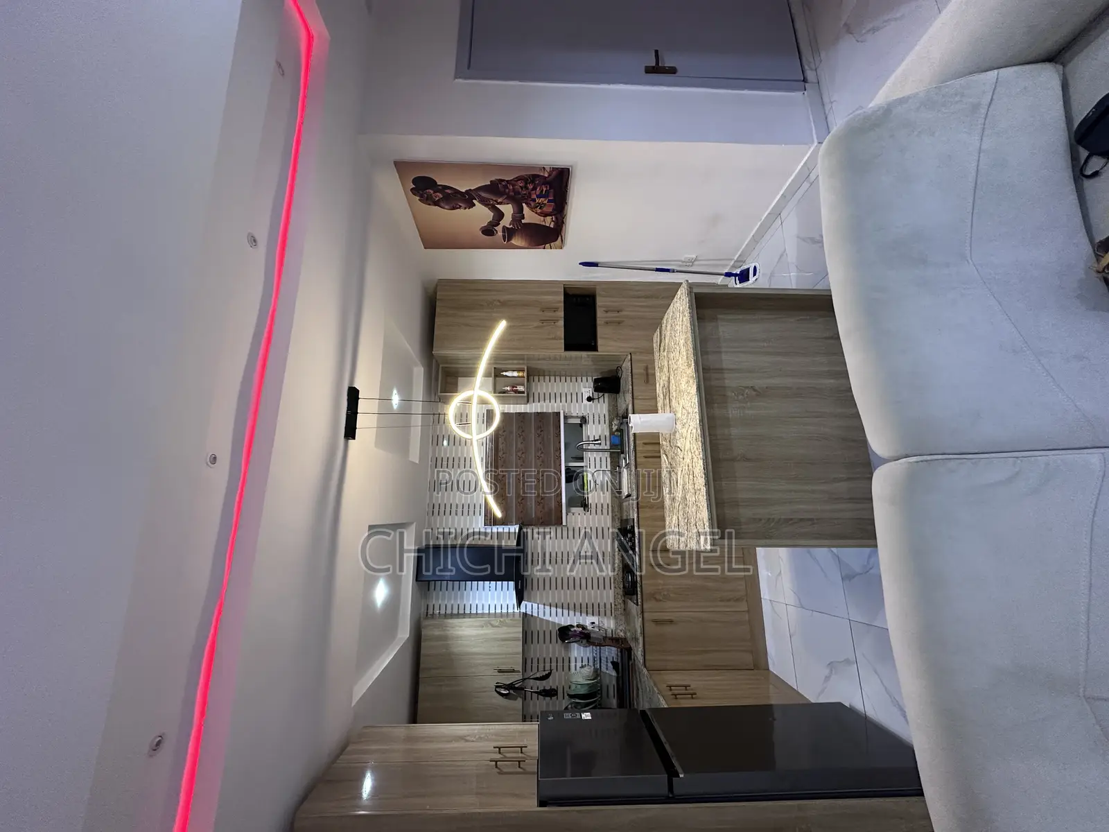 Luxury Mini Flat