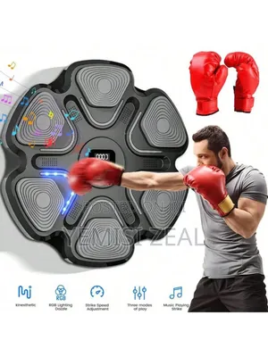 Wall Mounted Boxing Machine