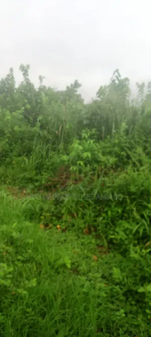 Land for Sale at Ojijo Area of Ikorodu Lagos Nigeria
