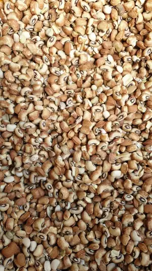 Photo - Honey Beans ( Kampala)