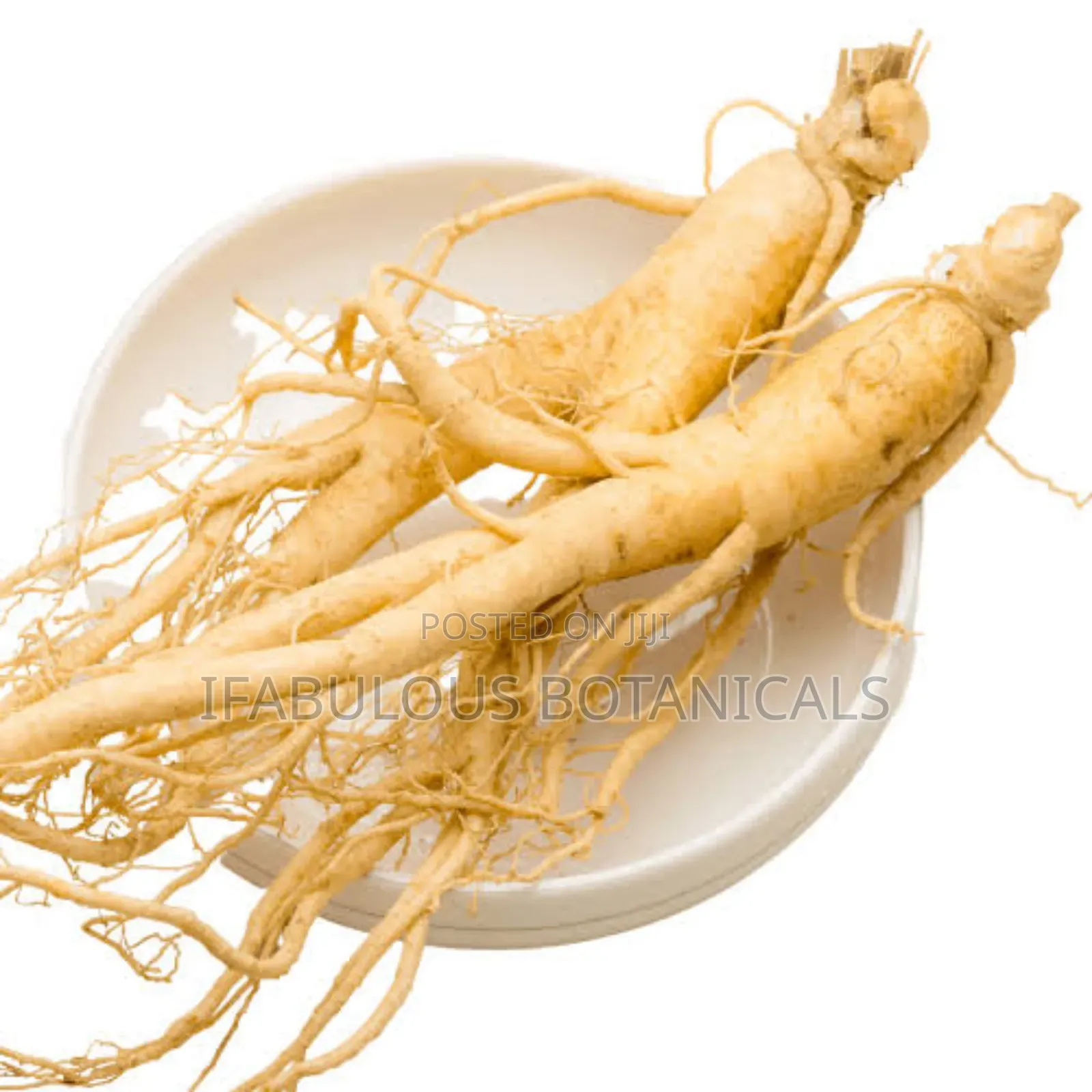 American Ginseng Powder 250g