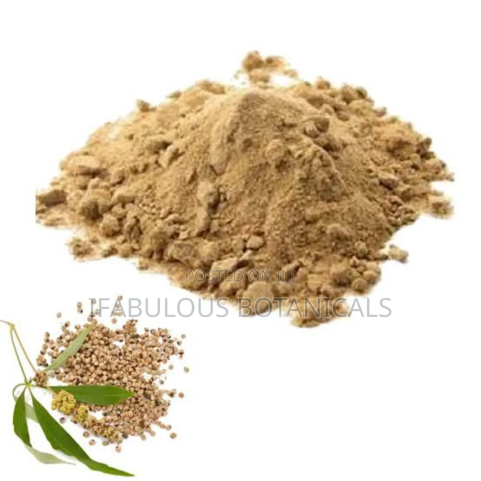 Vitex Seed Powder 500g