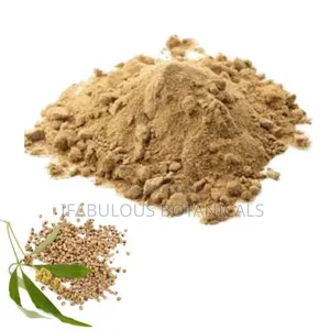 Vitex Seed Powder 500g