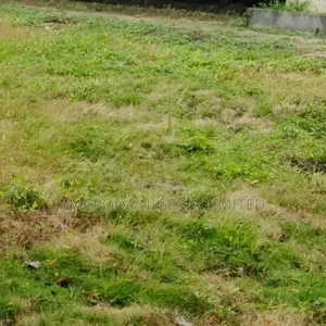 A Parcel of Land Measuring 1260sqm