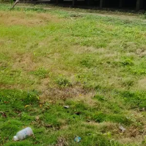 A Dry Parcel of Land Measuring 2400sqm