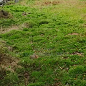 A Large Expanse of Land
