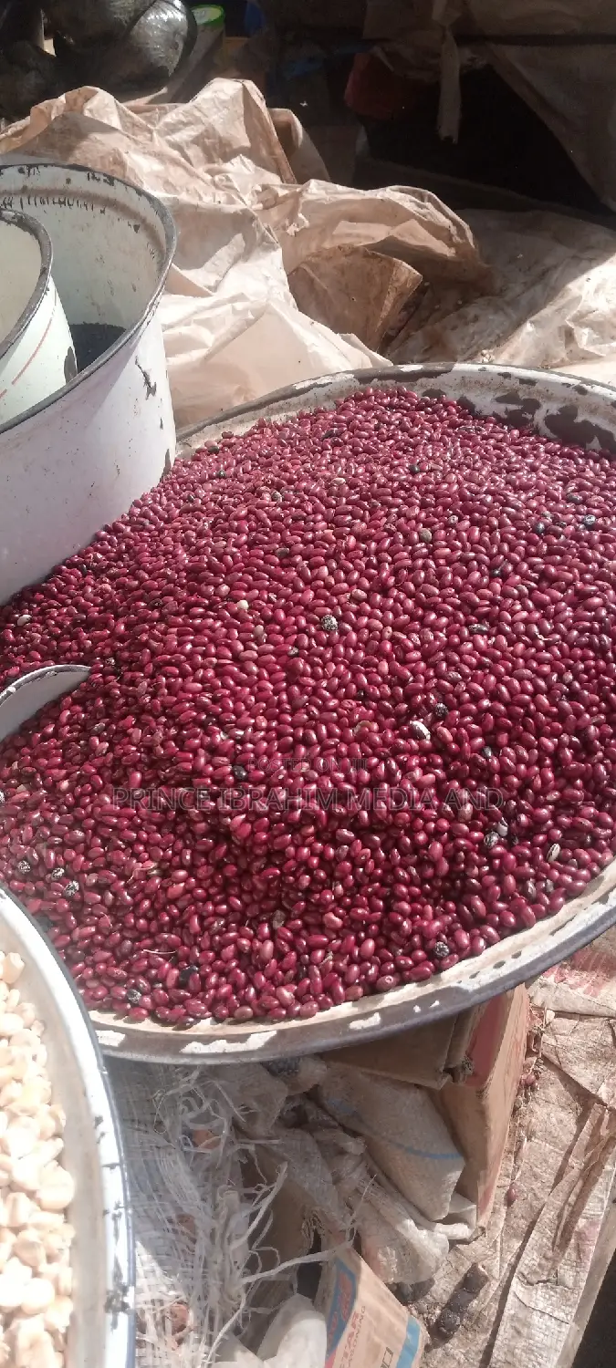 Beautiful Red Beans (Kidney Beans)