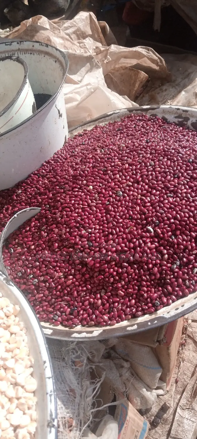 Beautiful Red Beans (Kidney Beans)