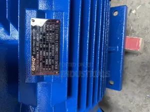 Electric Gear Motor