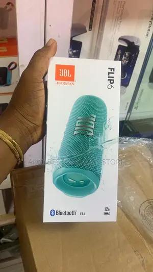 JBL Flip 6