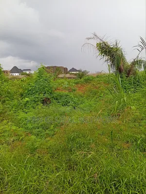Sharp Plots of Land Available for Sale.