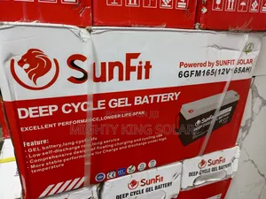 This Is Sunfit 65a Battery