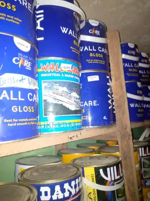4l Care Gloss Paint