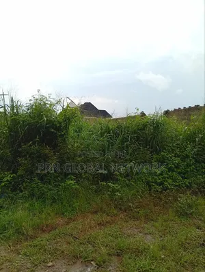 More Than 2 Plots of Land Waiting for a Buyer