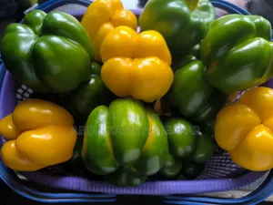 Photo - Bell/Sweet Pepper