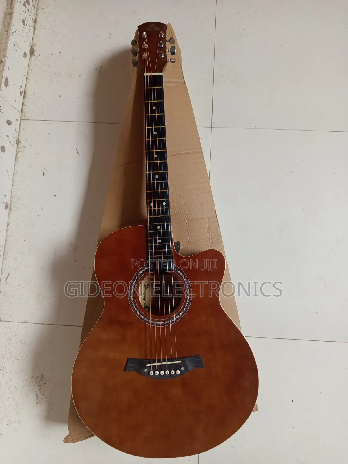 Semi Acoustic Guitar.