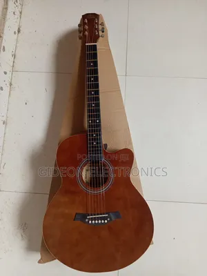 Semi Acoustic Guitar.