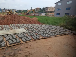 Paving Stone Interlock