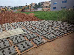 Interlocking Paving Stone