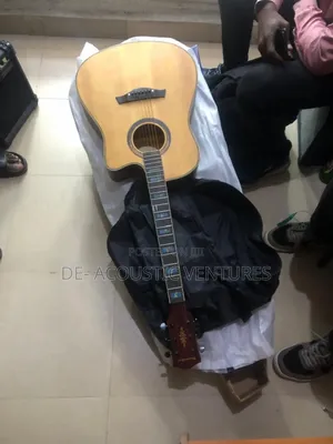 Photo - Brand New Semi Acoustic Thunderstone Semi Acoustic Guitar