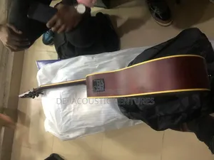 Brand New Semi Acoustic Thunderstone Semi Acoustic Guitar