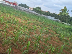 Katampe Main Hotel Plot for Sale