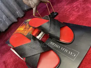 Photo - Red and Black Slides