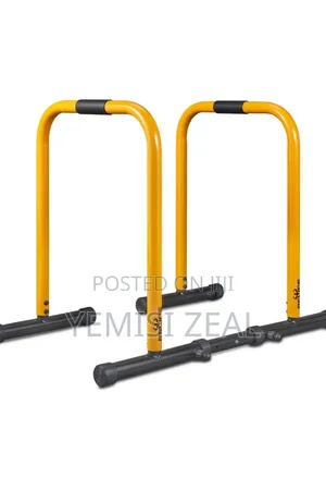 Durable Dip Bars