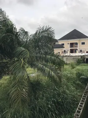 2 Plots of Dry Land Available for Sale