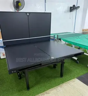 Outdoor Table Tennis