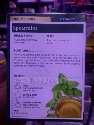Spearmint Herbal Supplement X 16 Tea Bags