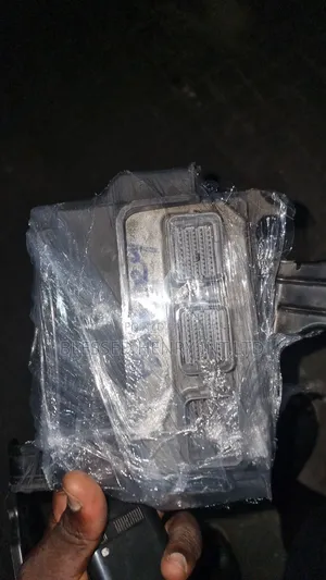 Brain Box Ecu.......