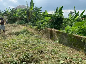 Photo - A Land With Uncompleted 3 Bedroom Flat
