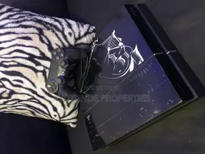Photo - Stable Hacked Ps4 1 Pad With Games