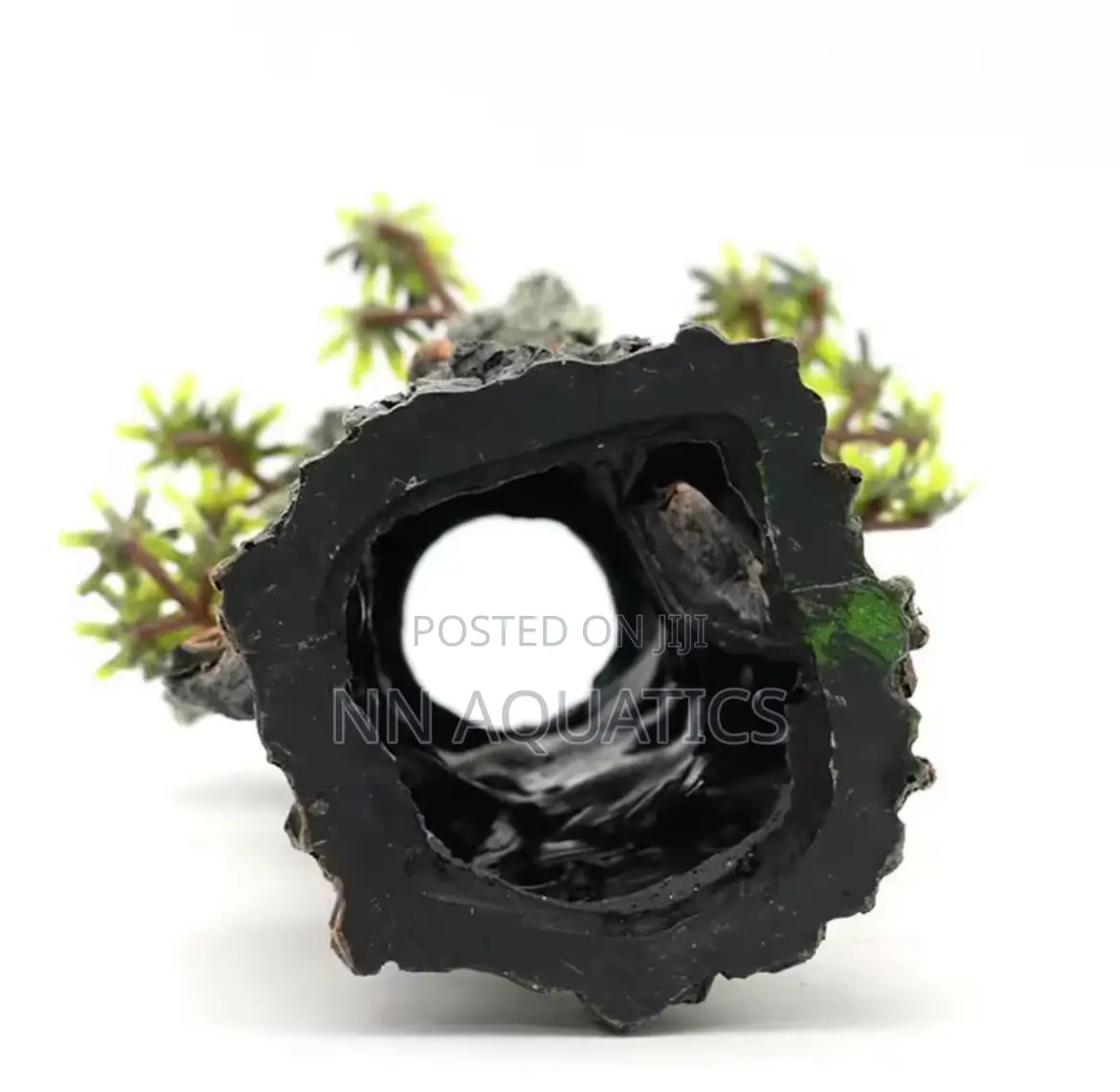 Laughing Tree Stump Aquarium Decoration
