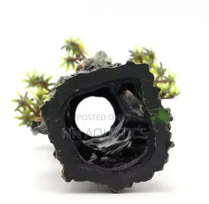 Laughing Tree Stump Aquarium Decoration