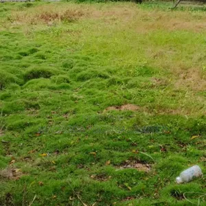A Dry Bareland Measuring 850sqm