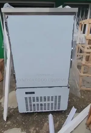 10 Tray Blast Freezer