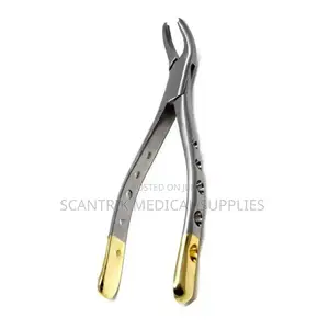 Gold-Plated Dental Forceps